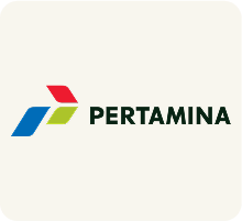 Partner 11