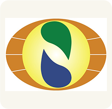 Partner 35